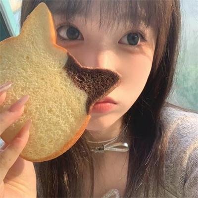 干支魂：猫客万来